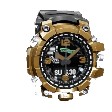 Chronograph Watch